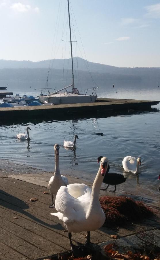 Appartamento Doppi Bagni Sei Posti Letto Viverone Exterior photo