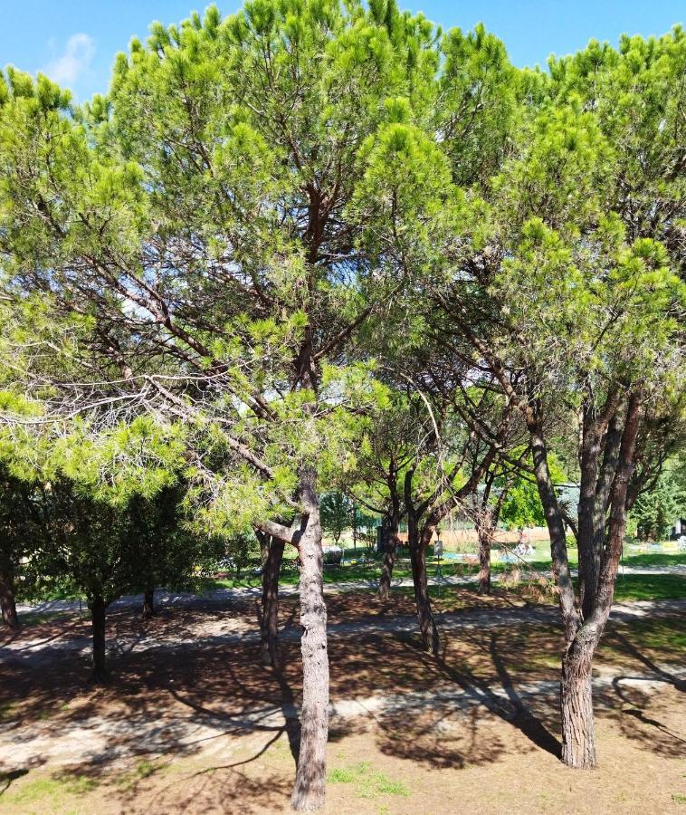 Appartamento Doppi Bagni Sei Posti Letto Viverone Exterior photo
